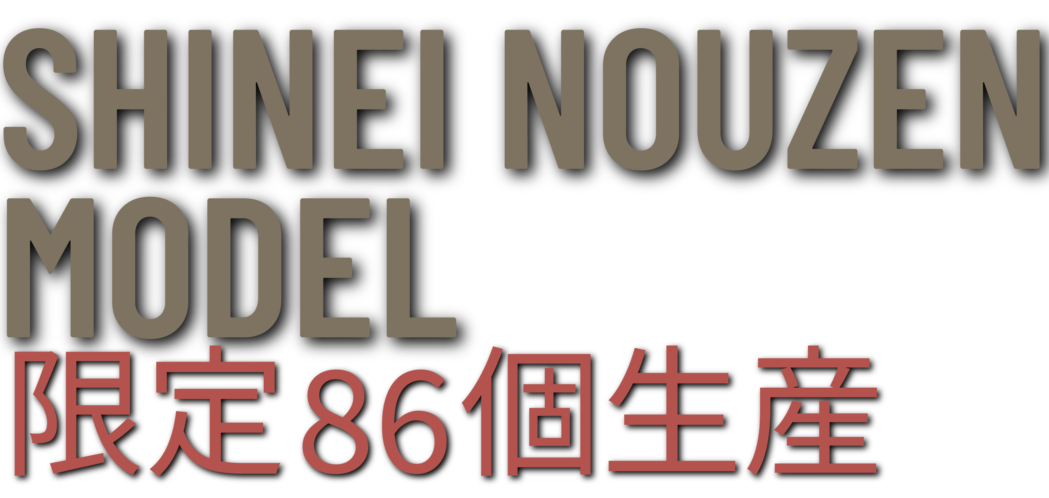 SHINEI NOUZEN MODEL